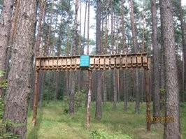 Домики для летучих мышей