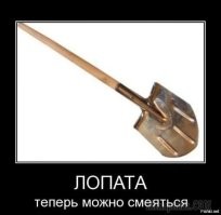 Комментарии и картинки из соцсетей. Свежак за 22 ноября