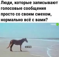 Хочу хоть раз, в ответ на голосовой анекдот, отправить ржачь. Но не шлют мне, голосовых анекдотов.