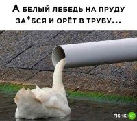 Комментарии и картинки из соцсетей. Свежак за 22 ноября