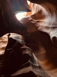 В 1916 году из поселения племени Навахо недалеко от Большого Каньона в штате Колорадо таинственно пропала... коза...
Маленькая девочка из этого племени пошла ее искать и прошла в ее поисках более 14 миль пока случайно не нашла пещеры, которые в последствии назвали каньоном Антилопы. 
Козу так и не нашли...  но девочка до сих пор жива (на 2022 год точно была жива), является уважаемой старейшиной племени, а туризм приносит племени несколько десятков миллионов в год.