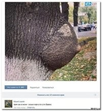 Меркантильные люди, обожающие лишь звон монет