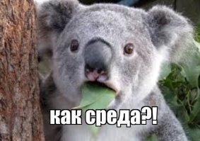 Не ищите здесь смысл. Здесь в основном маразм