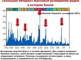 Минус, не минусуй, все равно получишь... шайбу
Поизучайте историю планеты Земля, так оно и есть, против фактов не попрешь, а ваши минусы не вернут к жизни навсегда исчезнувшие  во время МАССОВЫХ ВЫМИРАНИЙ тысячи видов животных, да и флоры тоже.