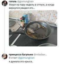 Я тоже был уверен что это крыса,пока не прочитал комментарий.