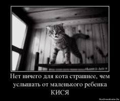 Намешалось