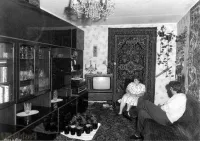 Квартира бунтарей! Надо ж было ковры вертикально повесить!