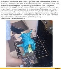 Во-первых, Покемониха (или кто там сейчас за неё), уймись.
Во-вторых, Thanksgiving празднуется исключительно в СШП и идут они лесом.
В-третьих, в подобной подборке непременно должна присутствовать классика: