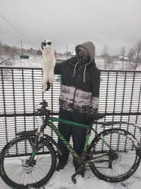 Сережа) 43 годов, пандемия на уда ленк -25))) до сельпо 3 км, за горючкой))) кот Мячик, ему по)(