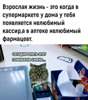 Есть такая кассирша, с начала "короны" ипанутая. Всё время в маске и перчатках. До сих пор, вот реально, сегодня в магазе она была, в маске и перчатках, боится заразиться короной, ипанашка. Вот знаете эти карточки, куда пункты начислаются. Так она её из рук не берёт. Даже когда на кассовую ленту её кладу, она карточку в руки не берёт. Говорит "ложите в коробочку". Подаёт пластмассовую коробочку, куда надо карточку положить. Она тогда из коробочки её берёт, пробивает эти пункты и кладёт обратно. А то, что она продукты берёт и пробивает своими руками (в перчатках), это норм. Наличку из рук в руки тоже берёт, это безопасно. А карточку в руки не берёт. Ну не ипанутая?