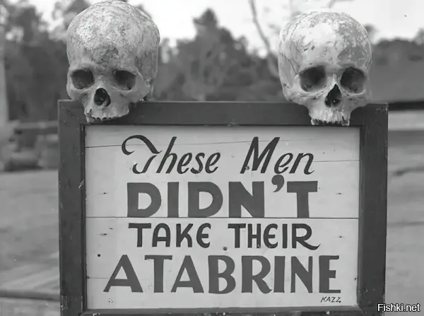 «Эти мужчины не принимали свой "Атабрин"»

Т.е. они отрубили головы трупам, сошкрябали с них всё и прилепили на плакатик?