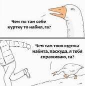 Скрины из соцсетей&nbsp;