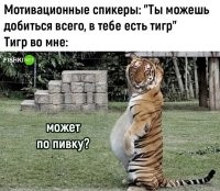 Не ищите здесь смысл. Здесь в основном маразм