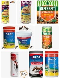 Хм... На тему муравьёв, это ты погорячился.