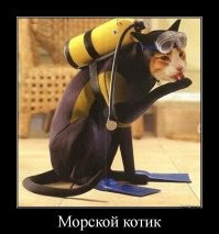 Водяные котики