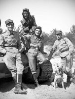 Герои детства...
По факту же, что пшеки, что грызуны оказались настоящими мразями...