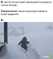Пофиг на заказ. И практически на что угодно. НЕ ВЫХОЖУ.