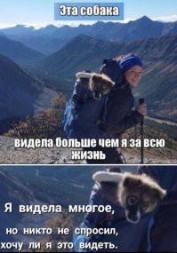 Комментарии и картинки из соцсетей. Свежак за 24 ноября