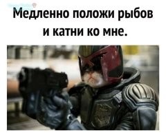 Комментарии и картинки из соцсетей. Свежак за 24 ноября