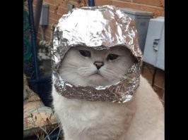 лучше уже тогда такая