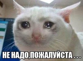 "Мы начинаем тут наши Христианские блоги"...