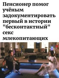 Пенсионер помог учёным задокументировать первый в истории "бесконтактный" секс млекопитающих