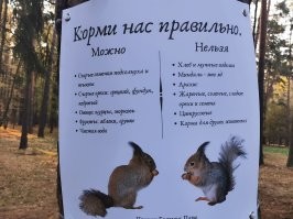 жиры то нагуглил, а рацион нет.
да и арахис бобовое, в природе его белки не едят.