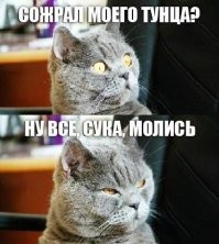 Комментарии и картинки из соцсетей. Свежак за 26 ноября