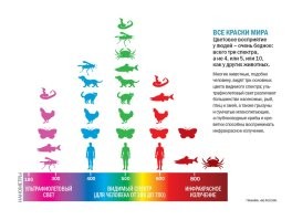 Комментарии и картинки из соцсетей. Свежак за 27 ноября