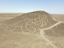 Пусть расскажут, что картинки в пустыне Наска нарисовал, а главное - зачем?