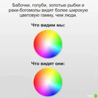 .webp
Бригаду пжлста