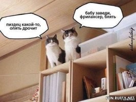 Мошенник за пять дней "оштрафовал" за просмотр порно более 400 узбекистанцев