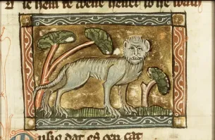 Ведь каких то две три тысячи лет назад умели изображать слонов и тигров, куда всё делось?)))