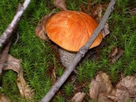 25 фотографий природы, от которых захватывает дух