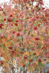 25 фотографий природы, от которых захватывает дух