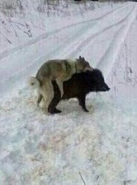 Когда закончились патроны.
