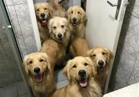 Квартира сильного и независимого мужчины?