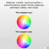 Ох уж эти школьники...