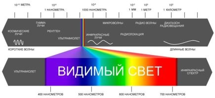Ох уж эти школьники...