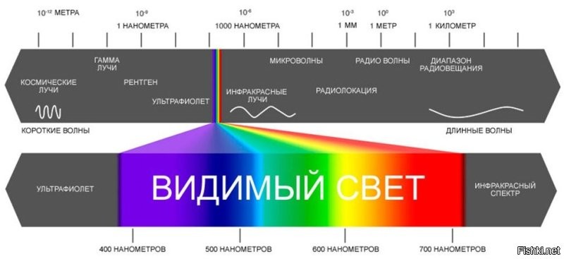 Ох уж эти школьники...