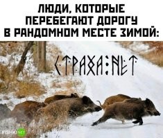 Ладно в рандомном, я так вынужден бегать по только что открытому пешеходному переходу. Водители знаки вообще не видят!