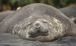 Намешалось&nbsp;