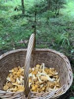 красиво ! Фотки мои . Могу и больше даже недельные , но меня и так ненавидят здесь ;)