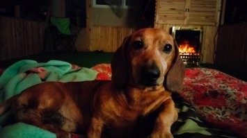 20 человек, которые создали свой рай на Земле