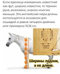 Небанальные единицы измерения в чем измеряется красота, будущее и другие интересные вещи