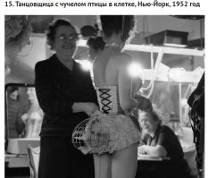 Не могу рассмотреть. Птичка - дятел?