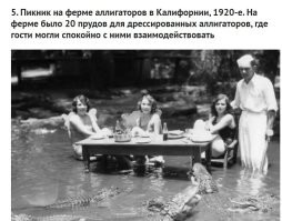Дрессированный аллигатор? Ну-ну.. Дрессированные собаки людей кусают..