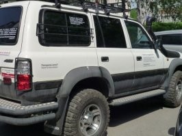 13 надписей на машинах, которые невозможно игнорировать