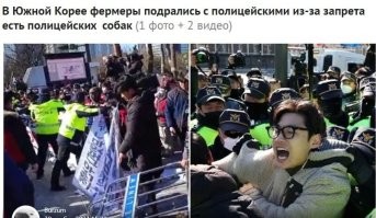 В Южной Корее фермеры подрались с полицейскими из-за запрета есть собак