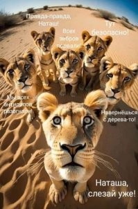 Комментарии и картинки из соцсетей. Свежак за 29 ноября